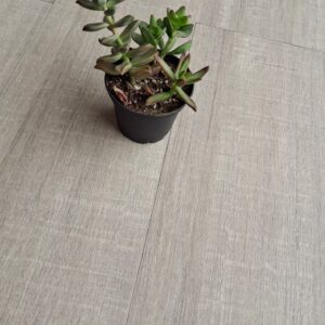 Porcelanato Nara Beige 15x60cm a $10.990m2